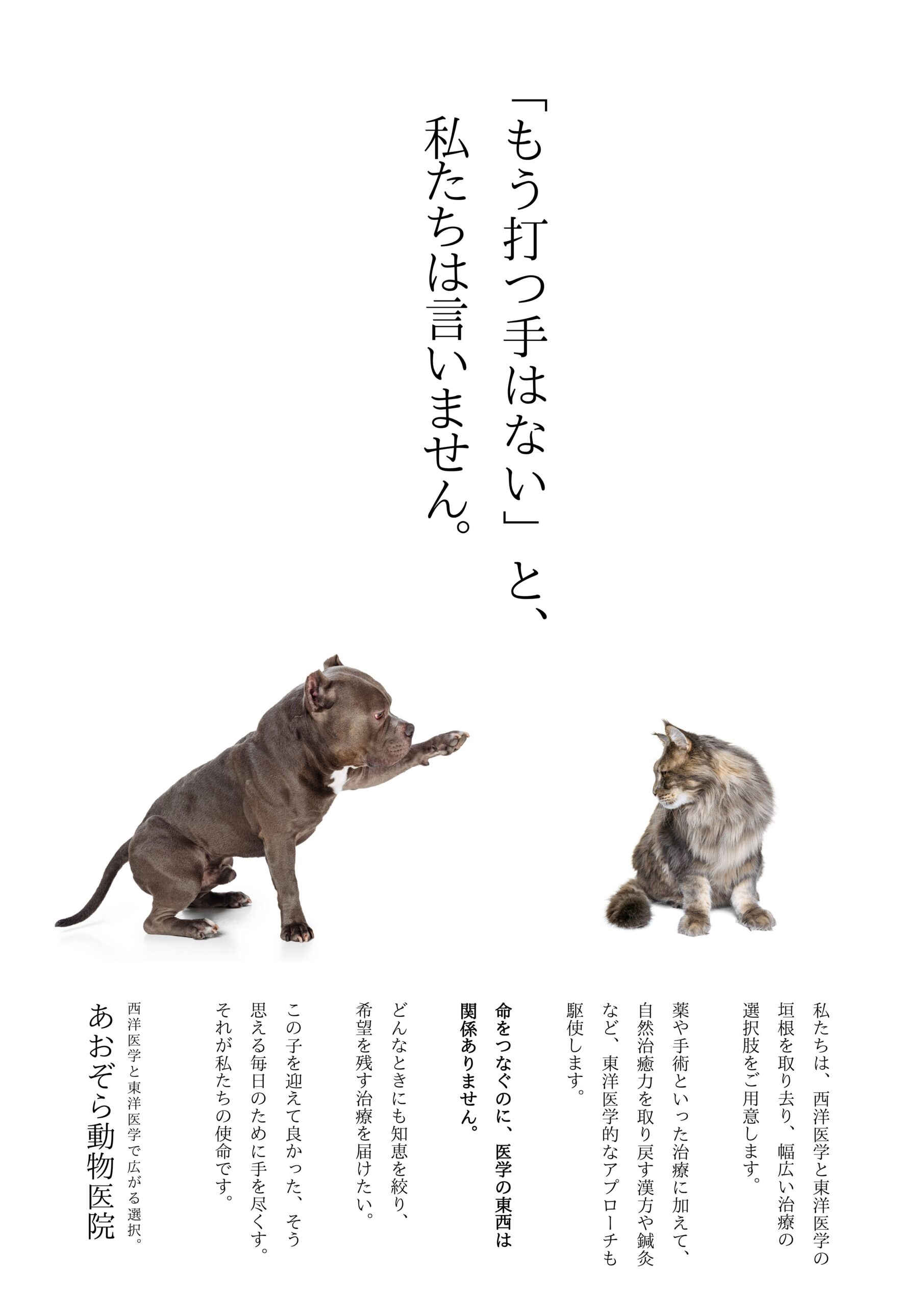 強みを言語化したら診療がもっとスムーズに。動物医院のブランド再構築｜シーディーアイ有限会社（屋号：あおぞら動物医院）